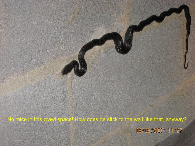Home inspection photo Johnson City Tennessee